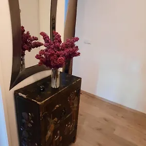 Apartman Schone In Der Grazer Innenstadt Graz